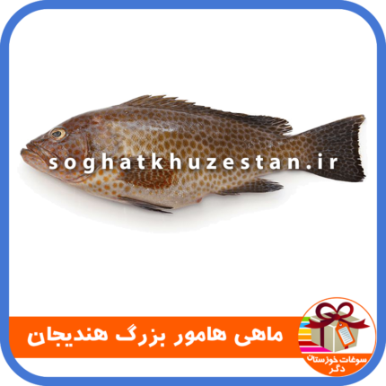 ماهی هامور بزرگ هندیجان - سوغات خوزستان دگر