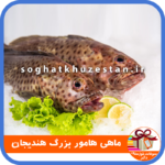 ماهی هامور بزرگ هندیجان - سوغات خوزستان دگر