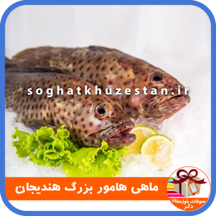 ماهی هامور بزرگ هندیجان - سوغات خوزستان دگر