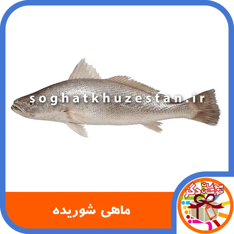 ماهی شوریده - سوغات خوزستان دگر