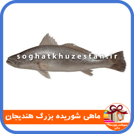 ماهی شوریده بزرگ هندیجان - سوغات خوزستان دگر