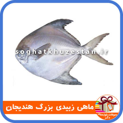 ماهی زبیدی بزرگ هندیجان - سوغات خوزستان دگر