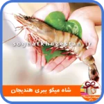 شاه میگو ببری هندیجان - سوغات خوزستان دگر