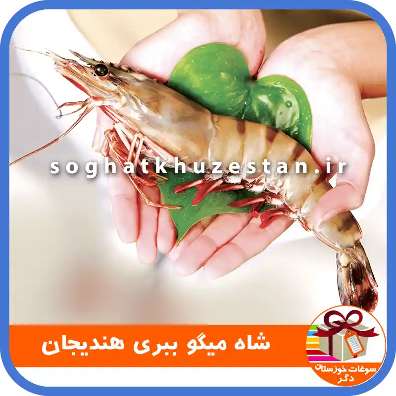 شاه میگو ببری هندیجان - سوغات خوزستان دگر