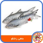 ماهی راشگو - سوغات خوزستان دگر