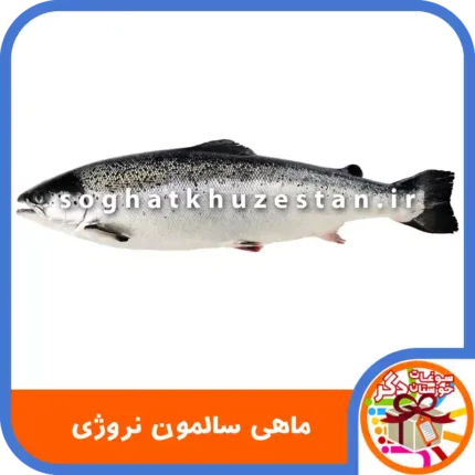 ماهی سالمون نروژی - سوغات خوزستان دگر