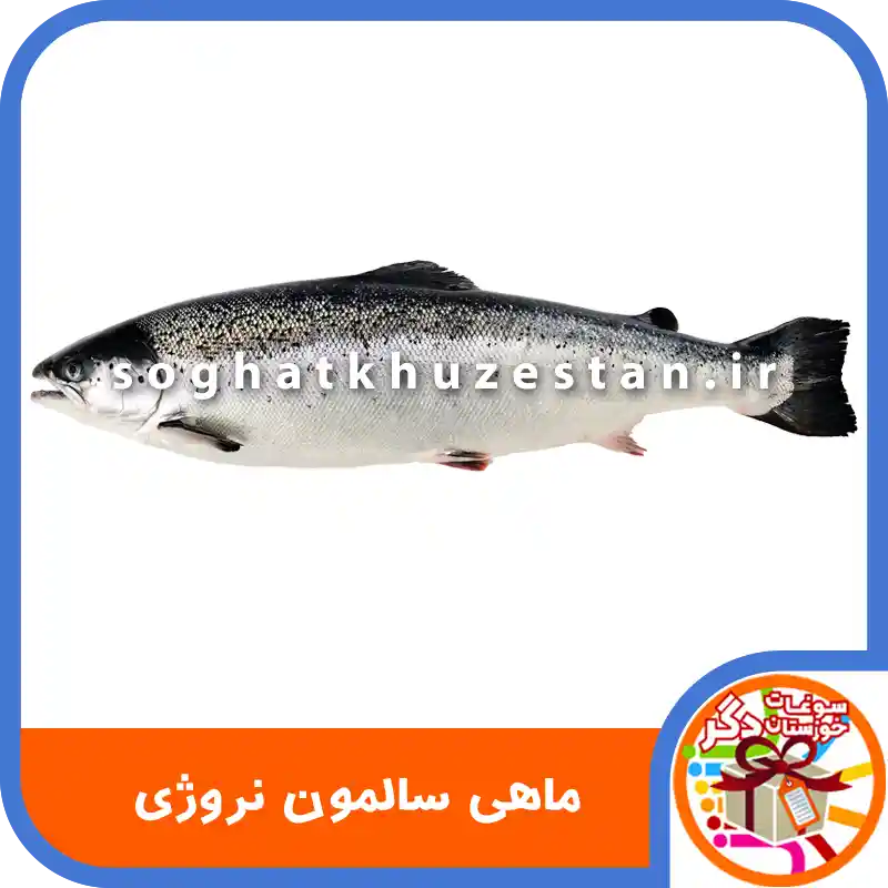 ماهی سالمون نروژی - سوغات خوزستان دگر