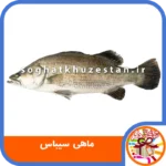 ماهی سیباس - سوغات خوزستان دگر