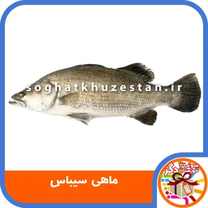 ماهی سیباس - سوغات خوزستان دگر