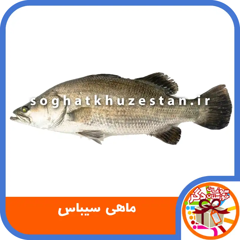 ماهی سیباس - سوغات خوزستان دگر