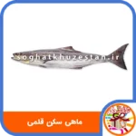 ماهی سکن قلمی - سوغات خوزستان دگر