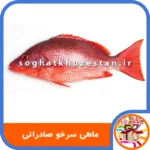 ماهی سرخو صادراتی - سئغات خوزستان دگر