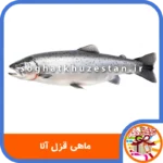 ماهی قزل آلا - سوغات خوزستان دگر