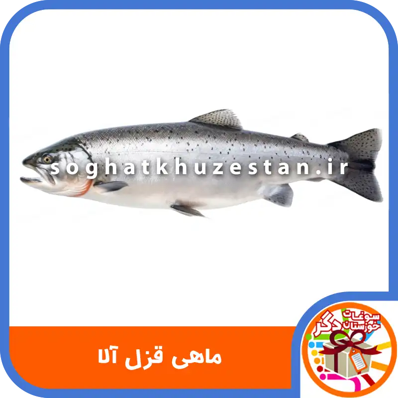 ماهی قزل آلا - سوغات خوزستان دگر