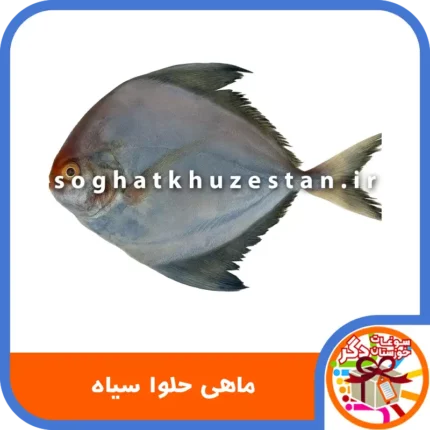 ماهی حلوا سیاه - سوغات خوزستان دگر