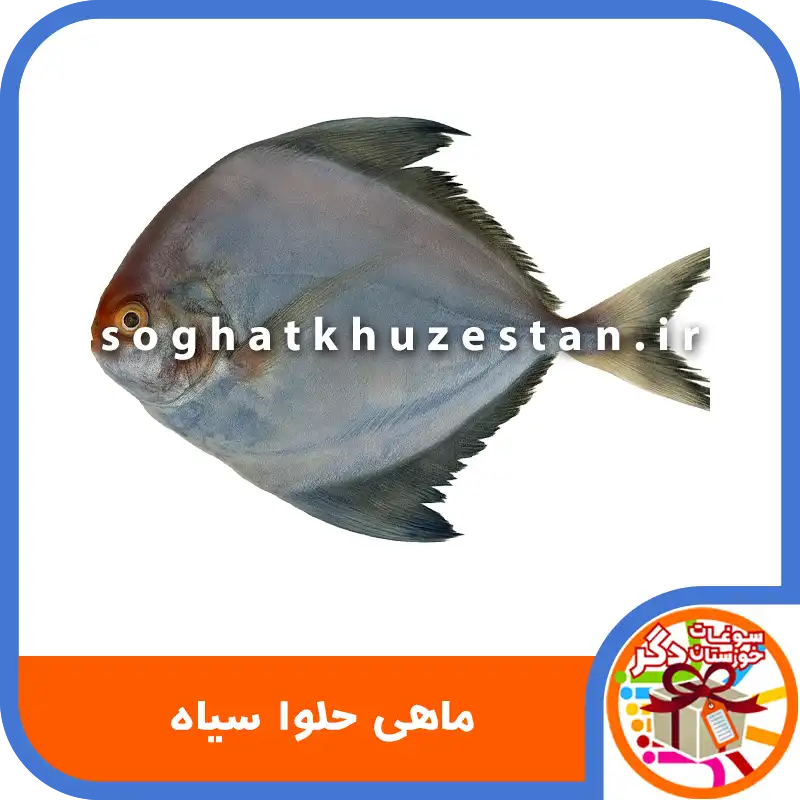 ماهی حلوا سیاه - سوغات خوزستان دگر