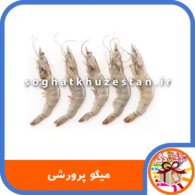 میگو پرورشی - سوغات خوزستان دگر