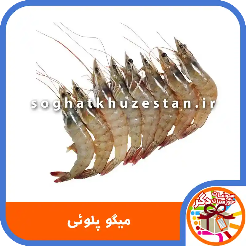 میگو پلوئی - سوغات خوزستان دگر